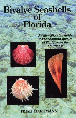 Bivalve Shells of Florida