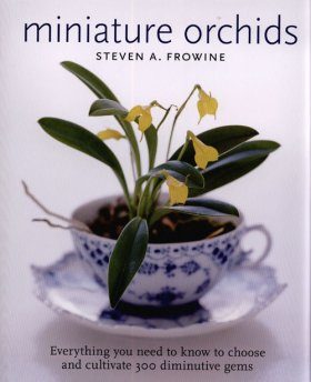 Miniature Orchids