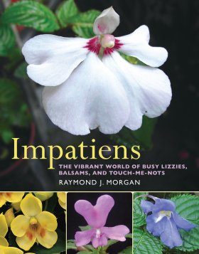 Impatiens: The Vibrant World of Busy Lizzies, Balsams, and Touch-Me-Nots
