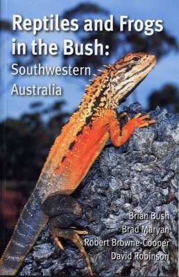 Reptiles and Frogs in the Bush