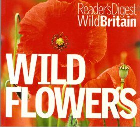 Wild Flowers