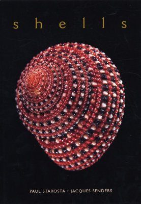 Shells