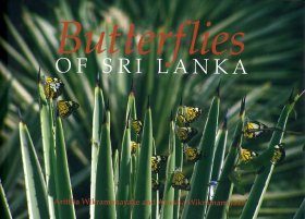 Butterflies of Sri Lanka
