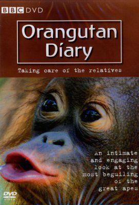 Orangutan Diary - DVD (Region 2 & 4)