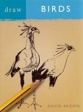 Draw Birds