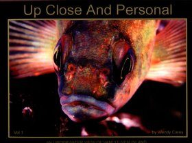 Up Close and Personal, Volume 1