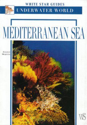 Mediterranean Sea