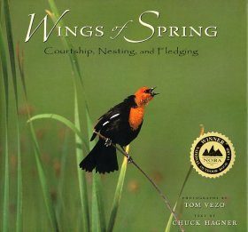 Wings of Spring
