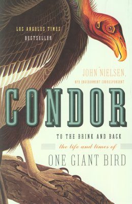 Condor: To the Brink and Back - The Life and Times of One Giant Bird