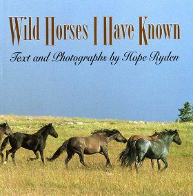 Wild Horses I have Known