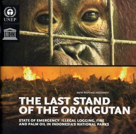 The Last Stand of the Orangutan
