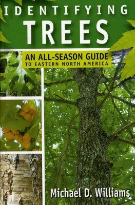 Identifying Trees