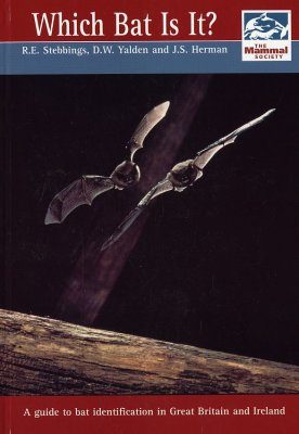 Which Bat Is It?