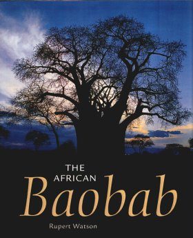 The African Baobab