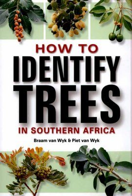 How To Identify Trees in Southen Africa