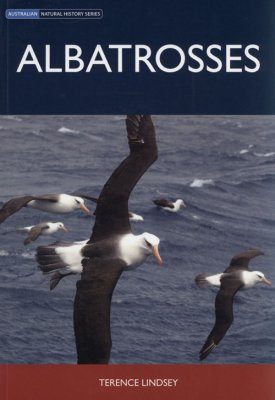 Albatrosses