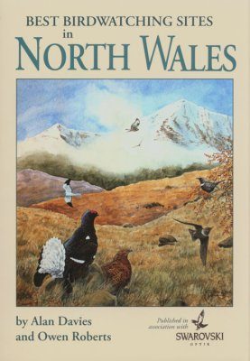 Best Birdwatching Sites in North Wales
