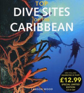 Top Dive Sites of the Caribbean