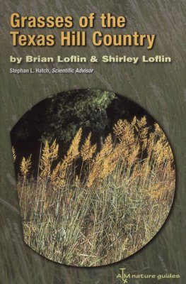Grasses of the Texas Hill Country