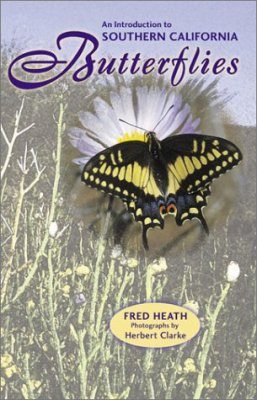 An Introduction to Southern California Butterflies