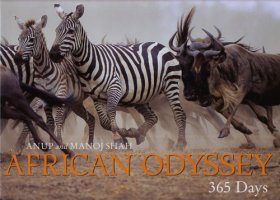 African Odyssey: 365 Days
