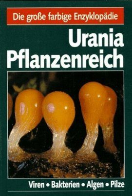 Viren, Bakterien, Algen, Pilze