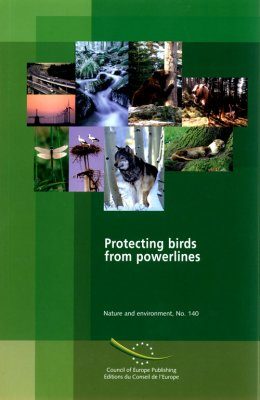 Protecting Birds From Powerlines