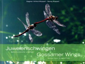 Gossamer Wings / Juwelenschwingen