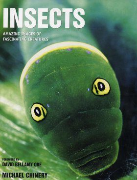 Insects: Amazing Images of Fascinating Creatures