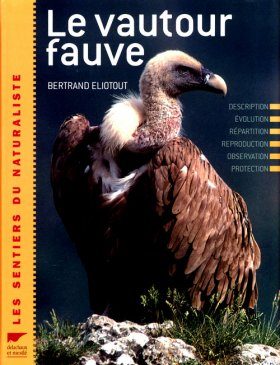 Le Vautour Fauve
