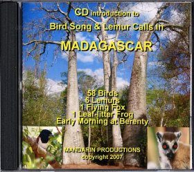 Bird Song and Lemur Calls in Madagascar