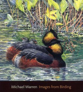 Images From Birding