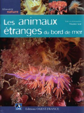 Les Animaux Etranges du Bord de Mer