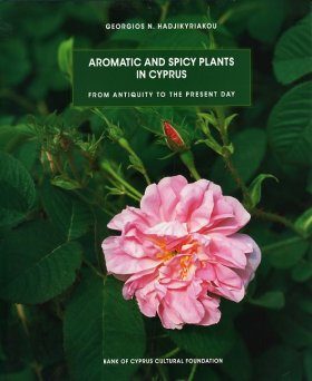 Aromatic and Spicy Plants in Cyprus