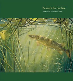Beneath the Surface