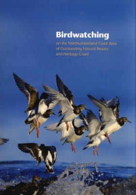 Birdwatching on the Northumberland Coast Area of Outstanding Natural Beauty and Heritage Coast