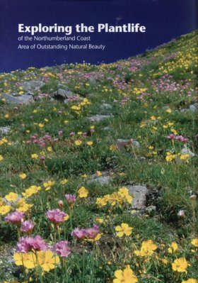 Exploring the Plantlife of the Northumberland Coast Area of Outstanding Natural Beauty