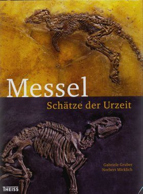 Messel: Schätze der Urzeit