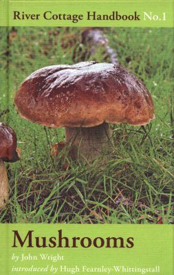 Mushrooms