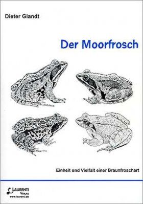 Der Moorfrosch