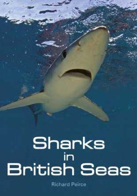 Sharks in British Seas
