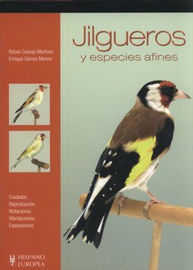 Jilgueros y Especies Afines