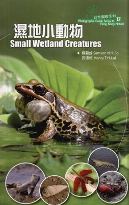 Small Wetland Creatures