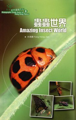 Amazing Insect World
