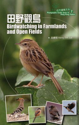 Birdwatching in Farmlands and Open Fields