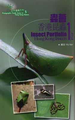 Insect Portfolio: Hong Kong Insects 1