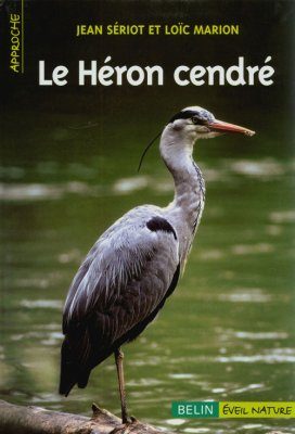 Le Héron Cendré