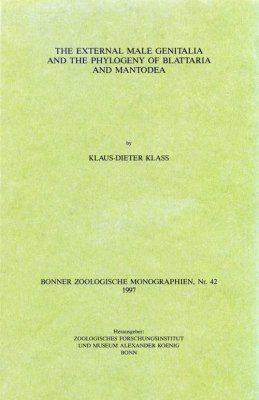 The External Male Genitalia and the Phylogeny of Blattaria and Mantodea