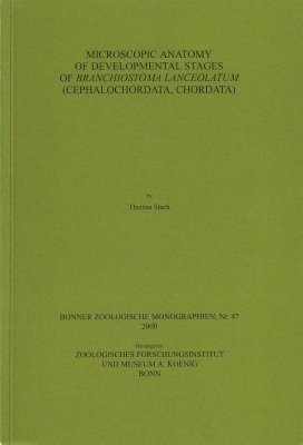 Microscopic Anatomy of Developmental Stages of Branchiostoma Lanceolatum (Cephalochordata, Chordata)