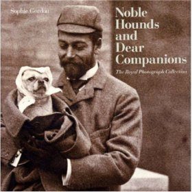 Noble Hounds and Dear Companions